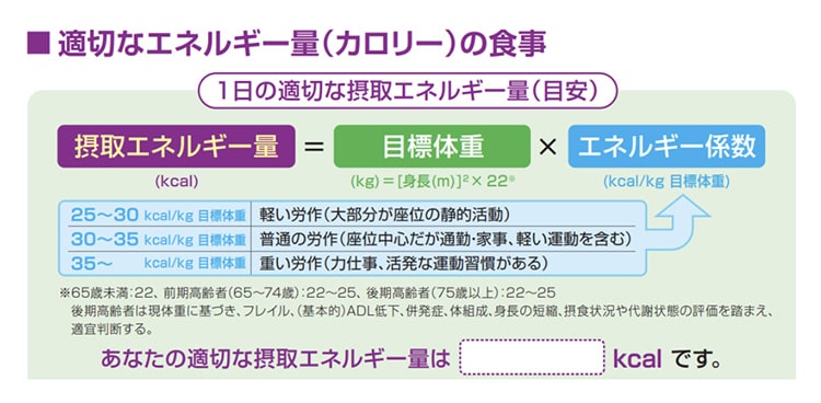 適切なエネルギー量（カロリー）の食事